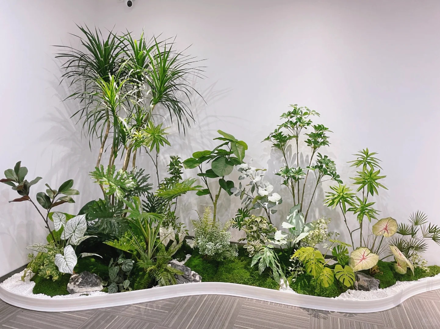 专业盆景出租，宁波前湾的绿色艺术盛宴